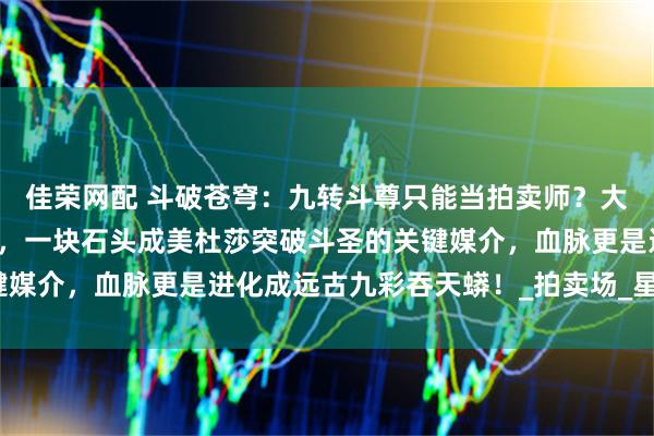 佳荣网配 斗破苍穹：九转斗尊只能当拍卖师？大陆最高规格拍卖会来了，一块石头成美杜莎突破斗圣的关键媒介，血脉更是进化成远古九彩吞天蟒！_拍卖场_星斗_巅峰