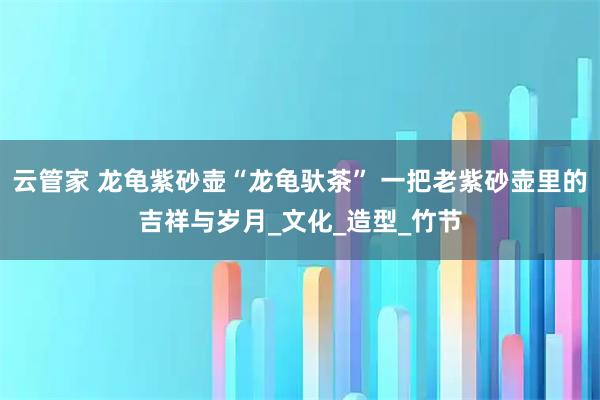 云管家 龙龟紫砂壶“龙龟驮茶” 一把老紫砂壶里的吉祥与岁月_文化_造型_竹节