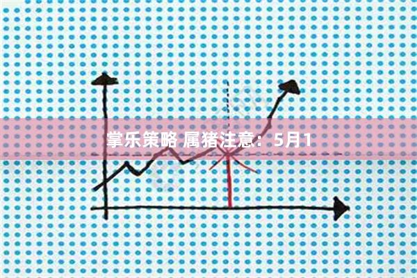 掌乐策略 属猪注意：5月1