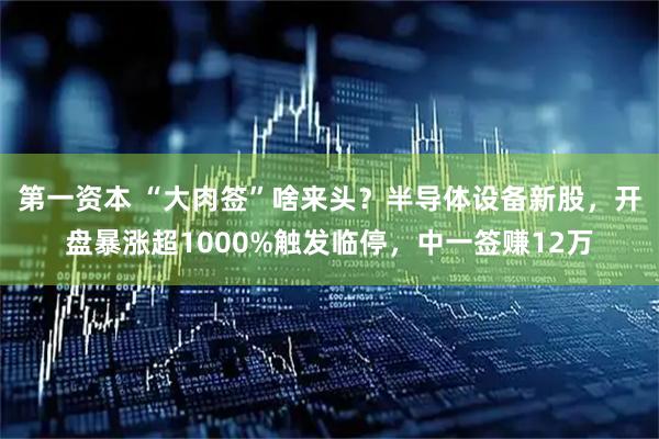 第一资本 “大肉签”啥来头？半导体设备新股，开盘暴涨超1000%触发临停，中一签赚12万