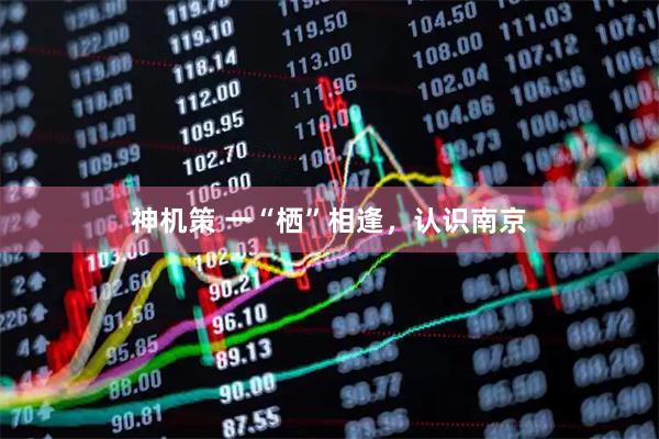 神机策 一“栖”相逢，认识南京